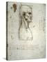 Sketch of the Head Proportions Base on Vitruvius-Leonardo da Vinci-Stretched Canvas