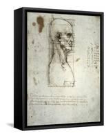 Sketch of the Head Proportions Base on Vitruvius-Leonardo da Vinci-Framed Stretched Canvas
