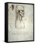 Sketch of the Head Proportions Base on Vitruvius-Leonardo da Vinci-Framed Stretched Canvas