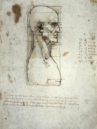 https://imgc.allpostersimages.com/img/posters/sketch-of-the-head-proportions-base-on-vitruvius_u-L-Q1J94YV0.jpg?artPerspective=n