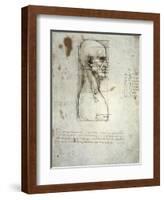 Sketch of the Head Proportions Base on Vitruvius-Leonardo da Vinci-Framed Art Print