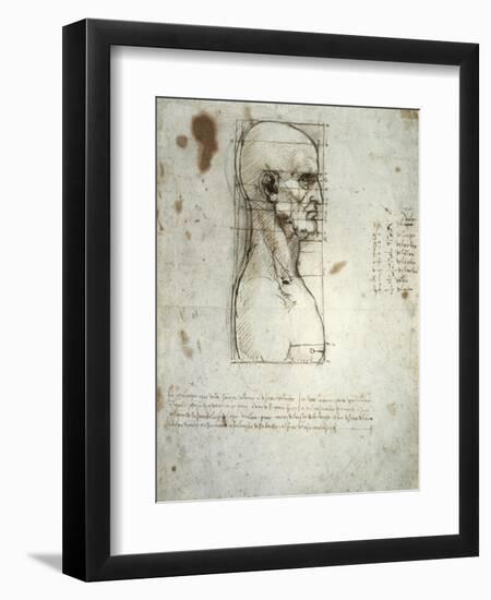 Sketch of the Head Proportions Base on Vitruvius-Leonardo da Vinci-Framed Art Print