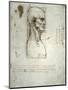 Sketch of the Head Proportions Base on Vitruvius-Leonardo da Vinci-Mounted Art Print