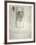 Sketch of the Head Proportions Base on Vitruvius-Leonardo da Vinci-Framed Art Print