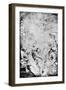 Sketch of the Martydom of St Livinus, C1633-Peter Paul Rubens-Framed Giclee Print