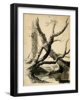 Sketch of Tree Trunks, C.1825-40 (Black Ink, Pen, Wash & Pencil on White Paper)-Thomas Cole-Framed Giclee Print