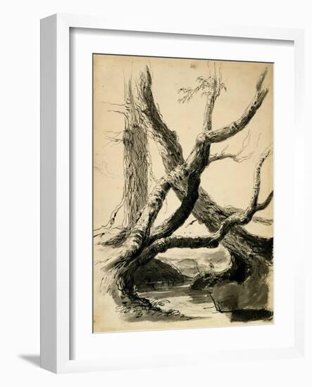 Sketch of Tree Trunks, C.1825-40 (Black Ink, Pen, Wash & Pencil on White Paper)-Thomas Cole-Framed Giclee Print
