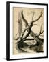 Sketch of Tree Trunks, C.1825-40 (Black Ink, Pen, Wash & Pencil on White Paper)-Thomas Cole-Framed Giclee Print