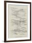 Sketch-Plan of the Panama Ship Canal-null-Framed Giclee Print