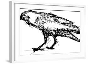 Sketch Vector Illustration of Crow-Gepard-Framed Art Print