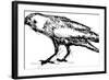 Sketch Vector Illustration of Crow-Gepard-Framed Art Print