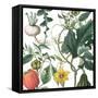 Sketch Whimzy Botanical 2-Lula Bijoux & Company-Framed Stretched Canvas