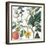 Sketch Whimzy Botanical 2-Lula Bijoux & Company-Framed Art Print