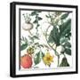 Sketch Whimzy Botanical 2-Lula Bijoux & Company-Framed Art Print
