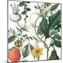Sketch Whimzy Botanical 2-Lula Bijoux & Company-Mounted Art Print