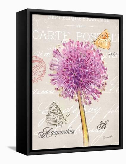 Sketchbook Agapanthus-Chad Barrett-Framed Stretched Canvas