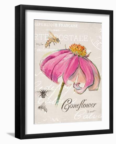 Sketchbook Coneflower-Chad Barrett-Framed Art Print