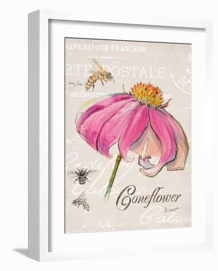 Sketchbook Coneflower-Chad Barrett-Framed Art Print