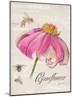 Sketchbook Coneflower-Chad Barrett-Mounted Art Print