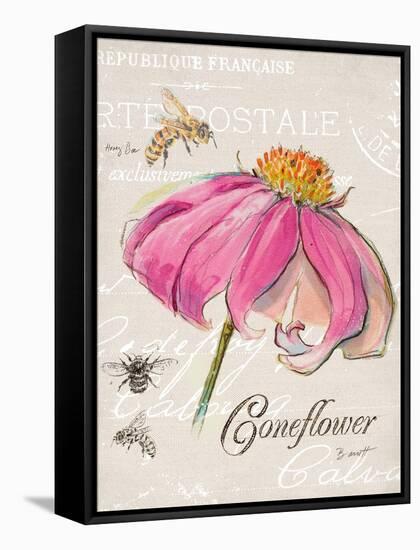 Sketchbook Coneflower-Chad Barrett-Framed Stretched Canvas