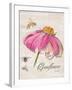 Sketchbook Coneflower-Chad Barrett-Framed Art Print