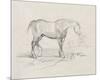 Sketchbook Equus-Edgar Degas-Mounted Giclee Print