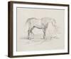 Sketchbook Equus-Edgar Degas-Framed Giclee Print
