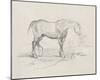 Sketchbook Equus-Edgar Degas-Mounted Giclee Print