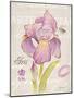 Sketchbook Iris-Chad Barrett-Mounted Art Print