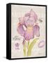 Sketchbook Iris-Chad Barrett-Framed Stretched Canvas