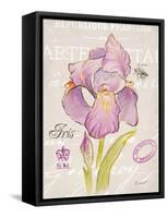 Sketchbook Iris-Chad Barrett-Framed Stretched Canvas