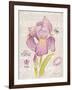 Sketchbook Iris-Chad Barrett-Framed Art Print