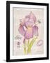 Sketchbook Iris-Chad Barrett-Framed Art Print