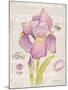 Sketchbook Iris-Chad Barrett-Mounted Art Print