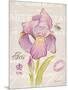 Sketchbook Iris-Chad Barrett-Mounted Art Print