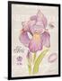 Sketchbook Iris-Chad Barrett-Framed Art Print