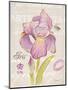 Sketchbook Iris-Chad Barrett-Mounted Art Print