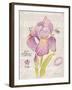 Sketchbook Iris-Chad Barrett-Framed Art Print