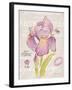 Sketchbook Iris-Chad Barrett-Framed Art Print