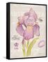 Sketchbook Iris-Chad Barrett-Framed Stretched Canvas