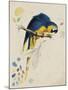 Sketchbook Macaw I-Edward Lear-Mounted Giclee Print