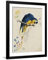 Sketchbook Macaw I-Edward Lear-Framed Giclee Print