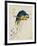 Sketchbook Macaw I-Edward Lear-Framed Giclee Print