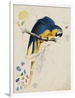 Sketchbook Macaw I-Edward Lear-Framed Giclee Print