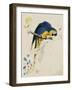 Sketchbook Macaw I-Edward Lear-Framed Giclee Print