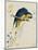 Sketchbook Macaw I-Edward Lear-Mounted Giclee Print