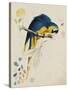 Sketchbook Macaw I-Edward Lear-Stretched Canvas