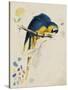 Sketchbook Macaw I-Edward Lear-Stretched Canvas