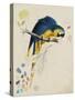Sketchbook Macaw I-Edward Lear-Stretched Canvas