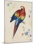Sketchbook Macaw II-Edward Lear-Mounted Giclee Print